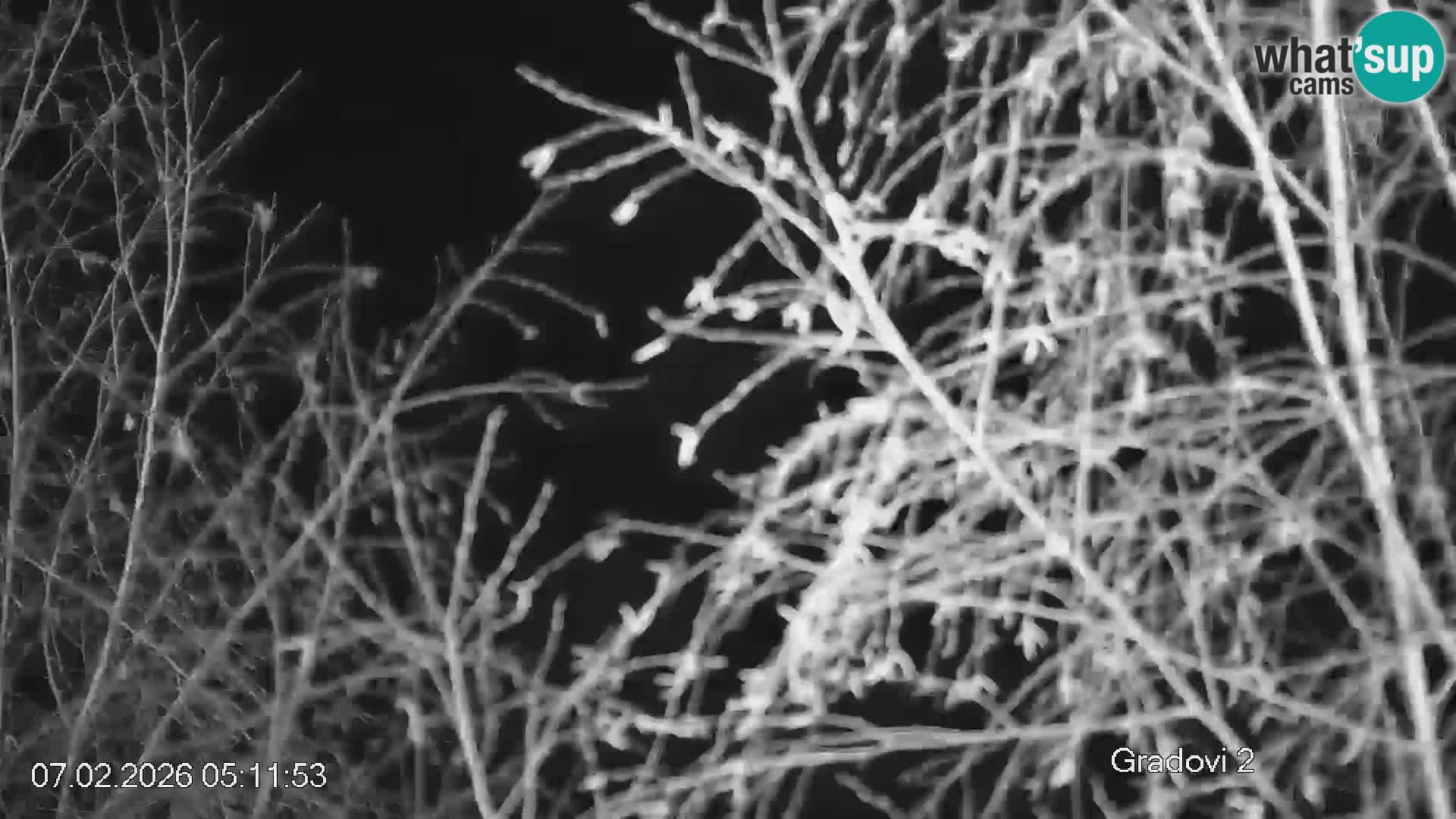 Piste de ski Črna na Koroška | Carinthie | Slovénie