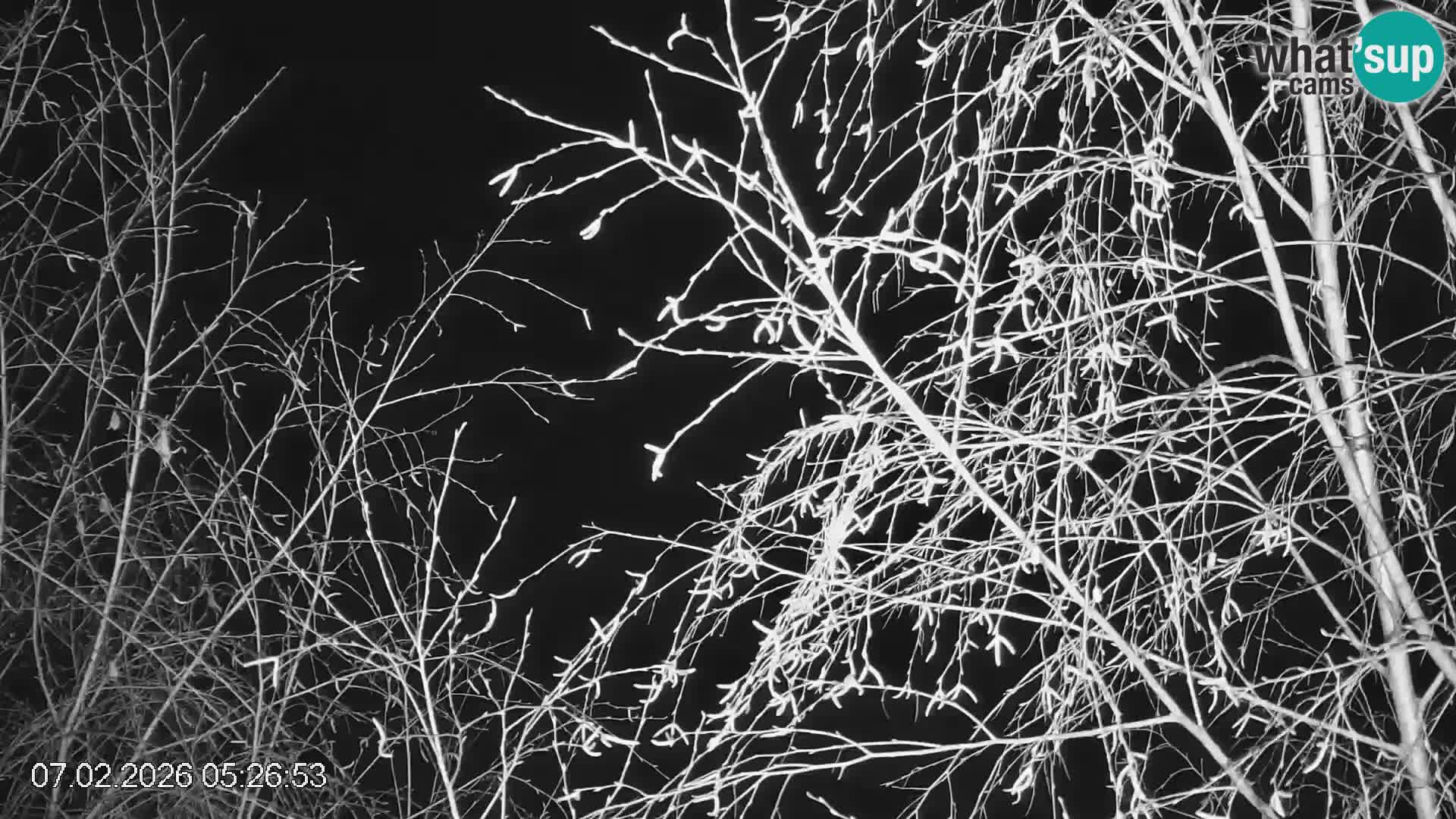 Stazione sciistica Črna na Koroškem | Carinzia | Slovenia