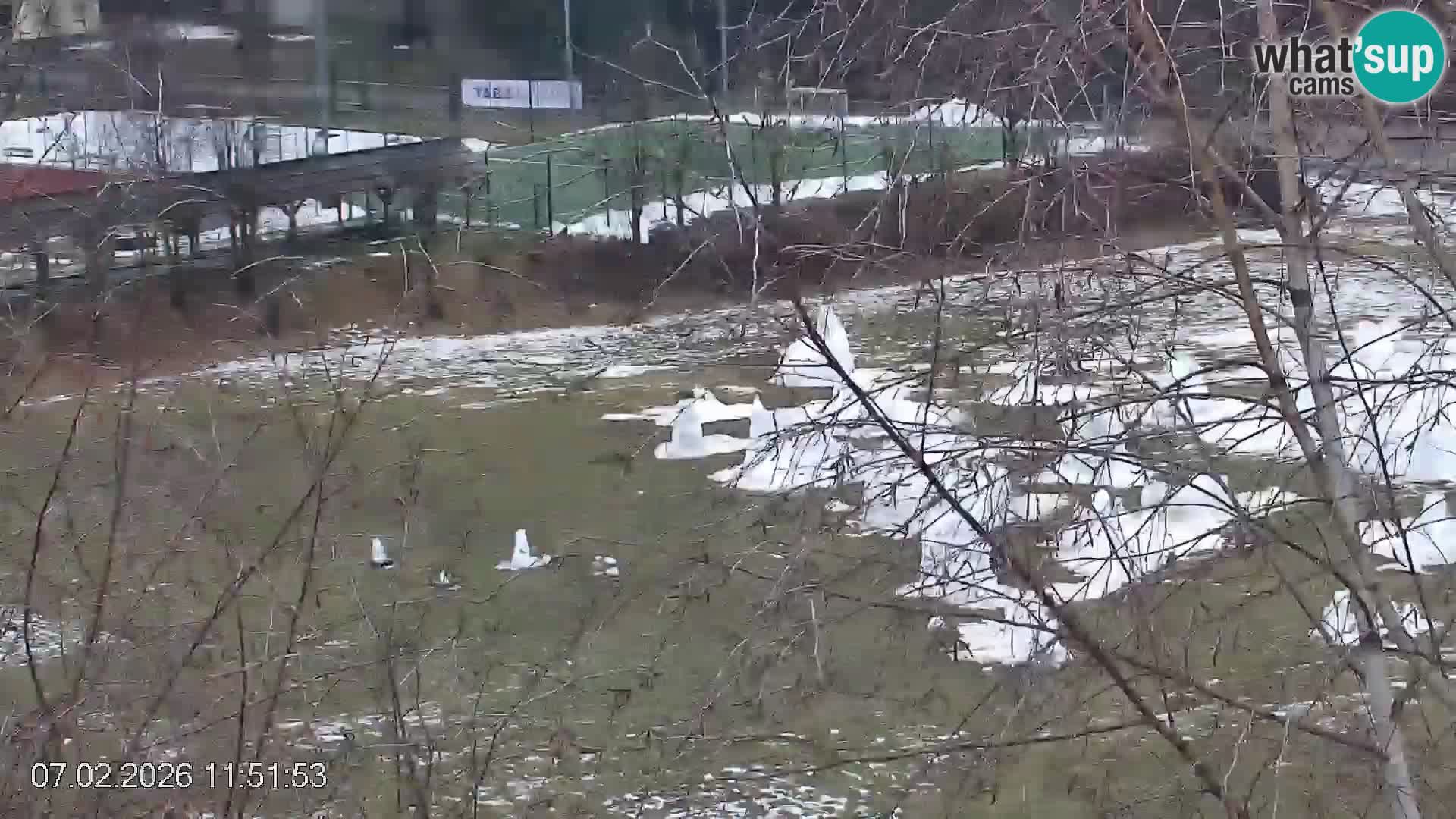 Črna na Koroškem ski slope | Koroška | Slovenia
