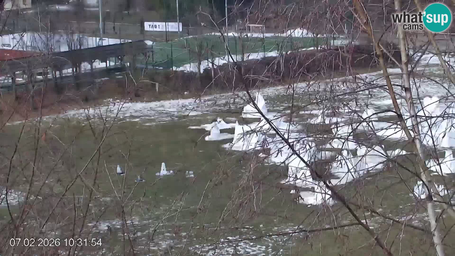 Črna na Koroškem ski slope | Koroška | Slovenia