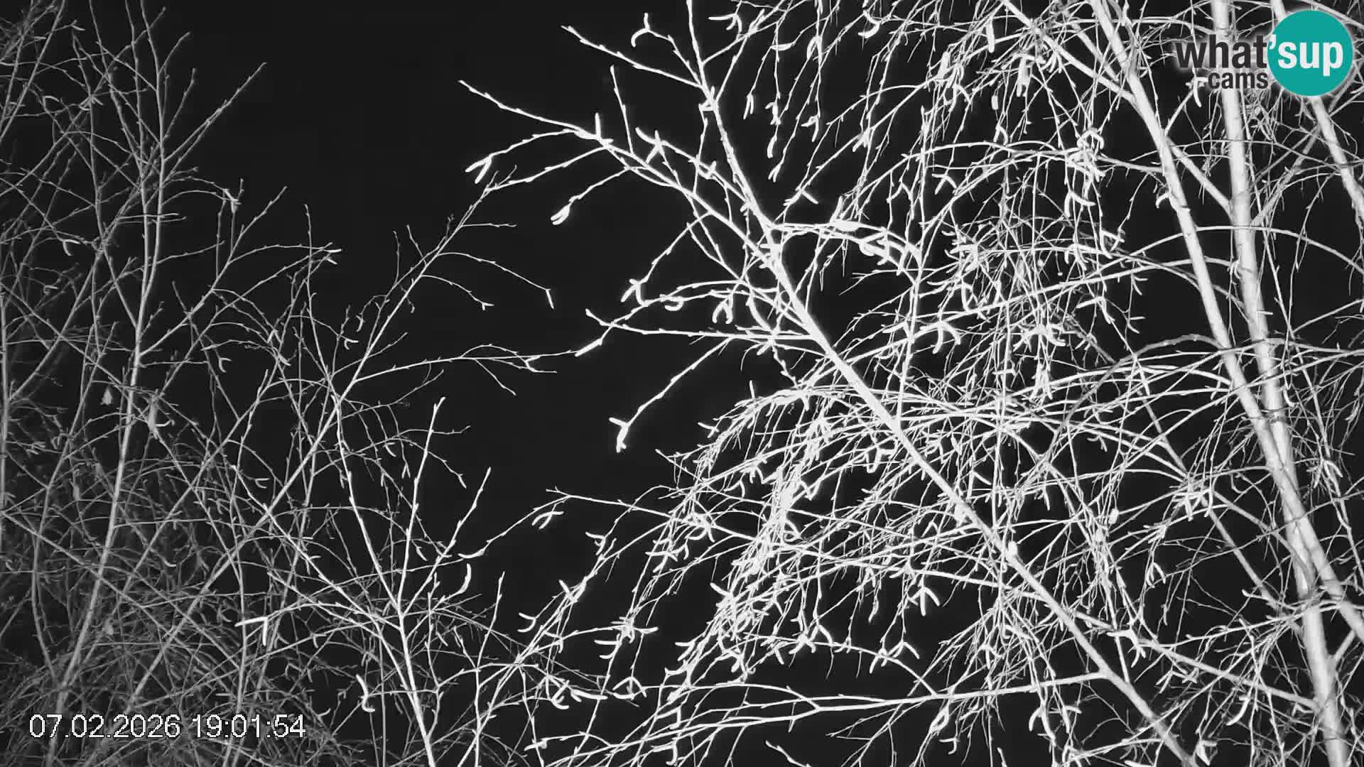 Pista de esquí de Črna na Koroška | Carintia | Eslovenia