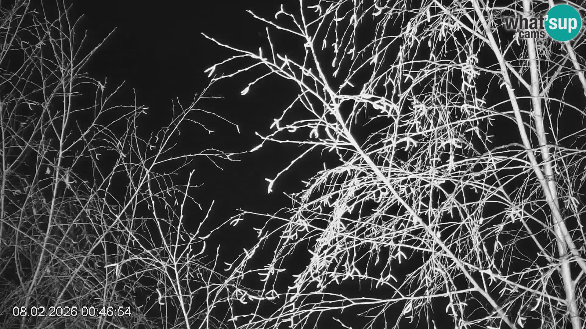 Piste de ski Črna na Koroška | Carinthie | Slovénie