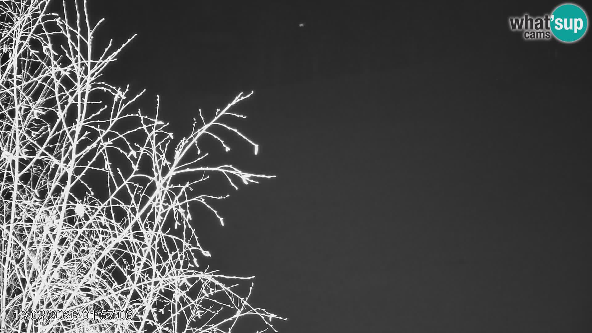 Piste de ski Črna na Koroška | Carinthie | Slovénie