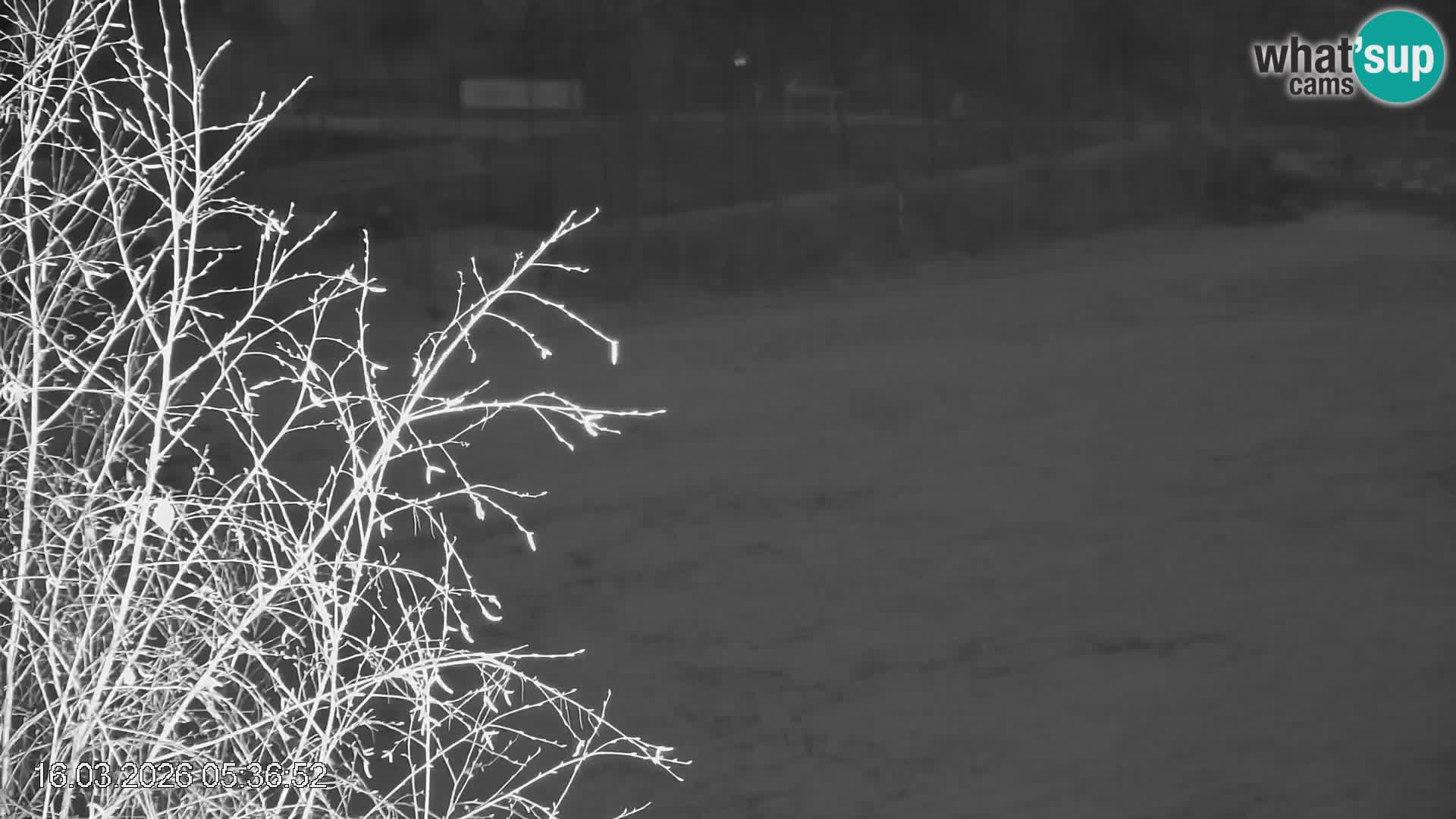 Skipiste Črna na Koroška | Kärnten | Slowenien