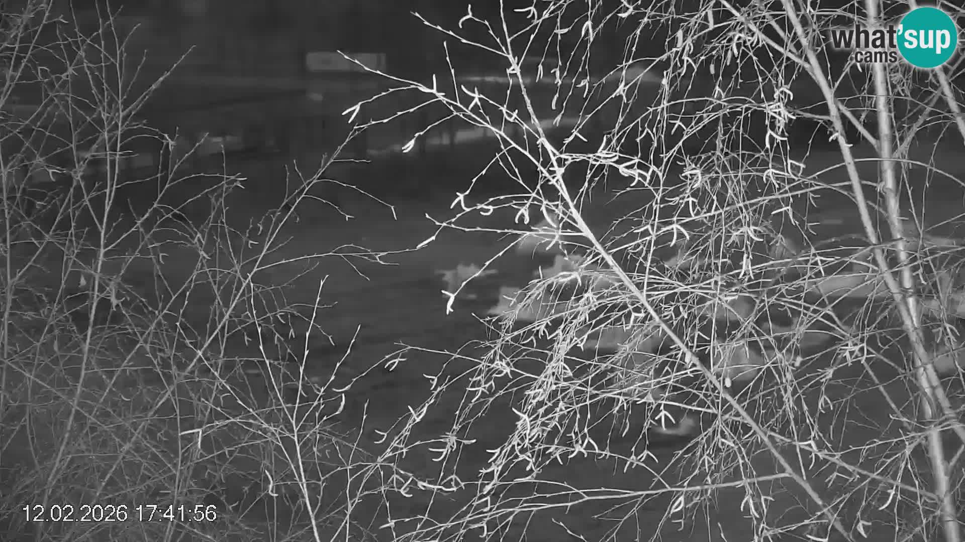 Skipiste Črna na Koroška | Kärnten | Slowenien