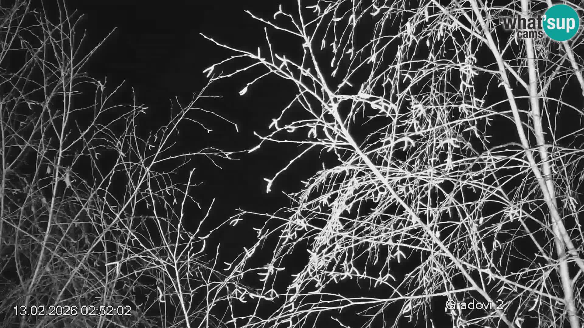 Črna na Koroškem ski slope | Koroška | Slovenia