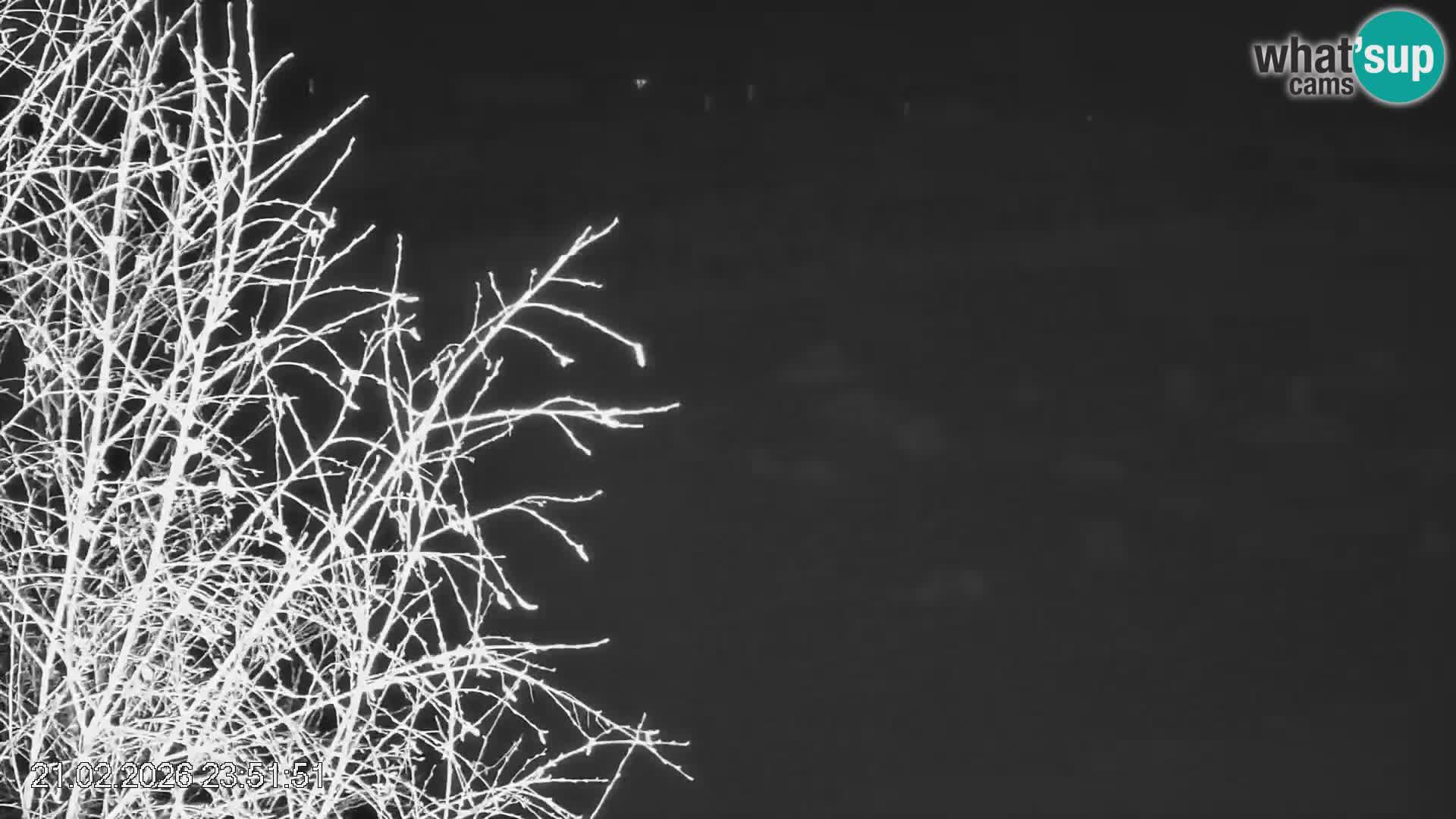 Črna na Koroškem ski slope | Koroška | Slovenia