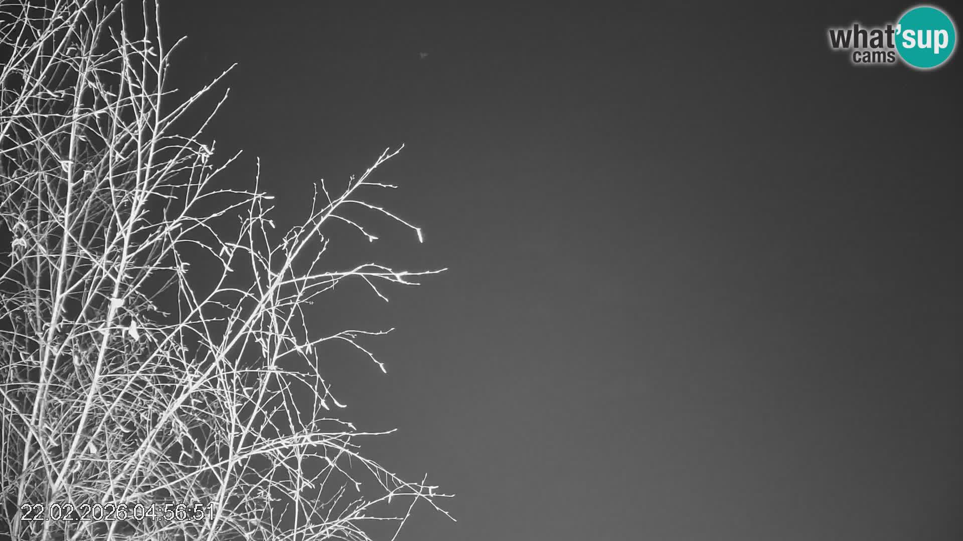 Skipiste Črna na Koroška | Kärnten | Slowenien