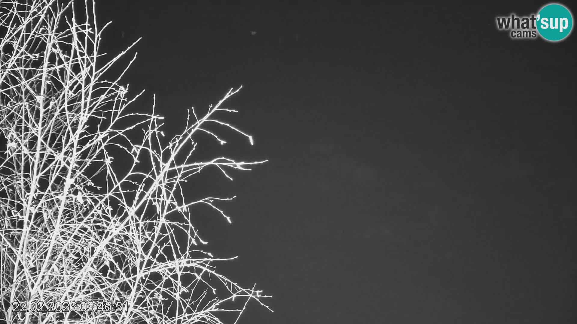 Smučišče Črna na Koroškem | Koroška | Slovenija