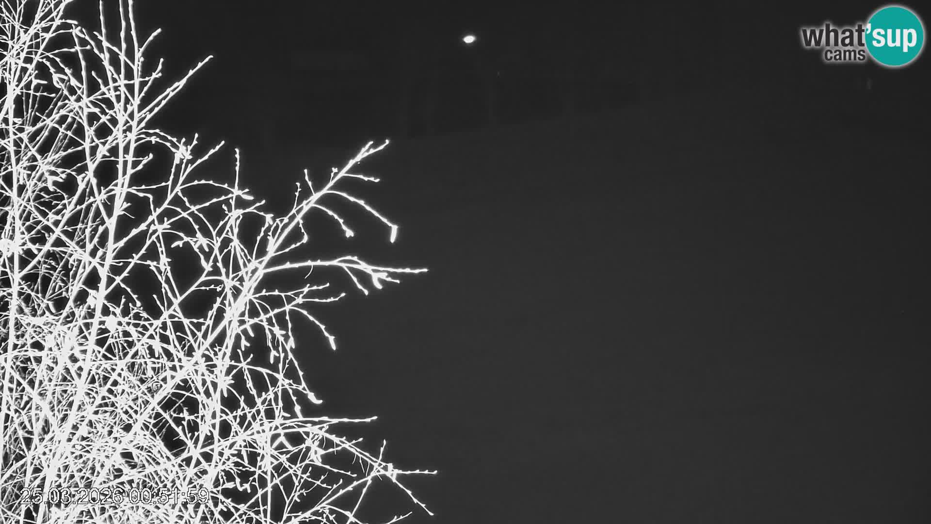 Skipiste Črna na Koroška | Kärnten | Slowenien