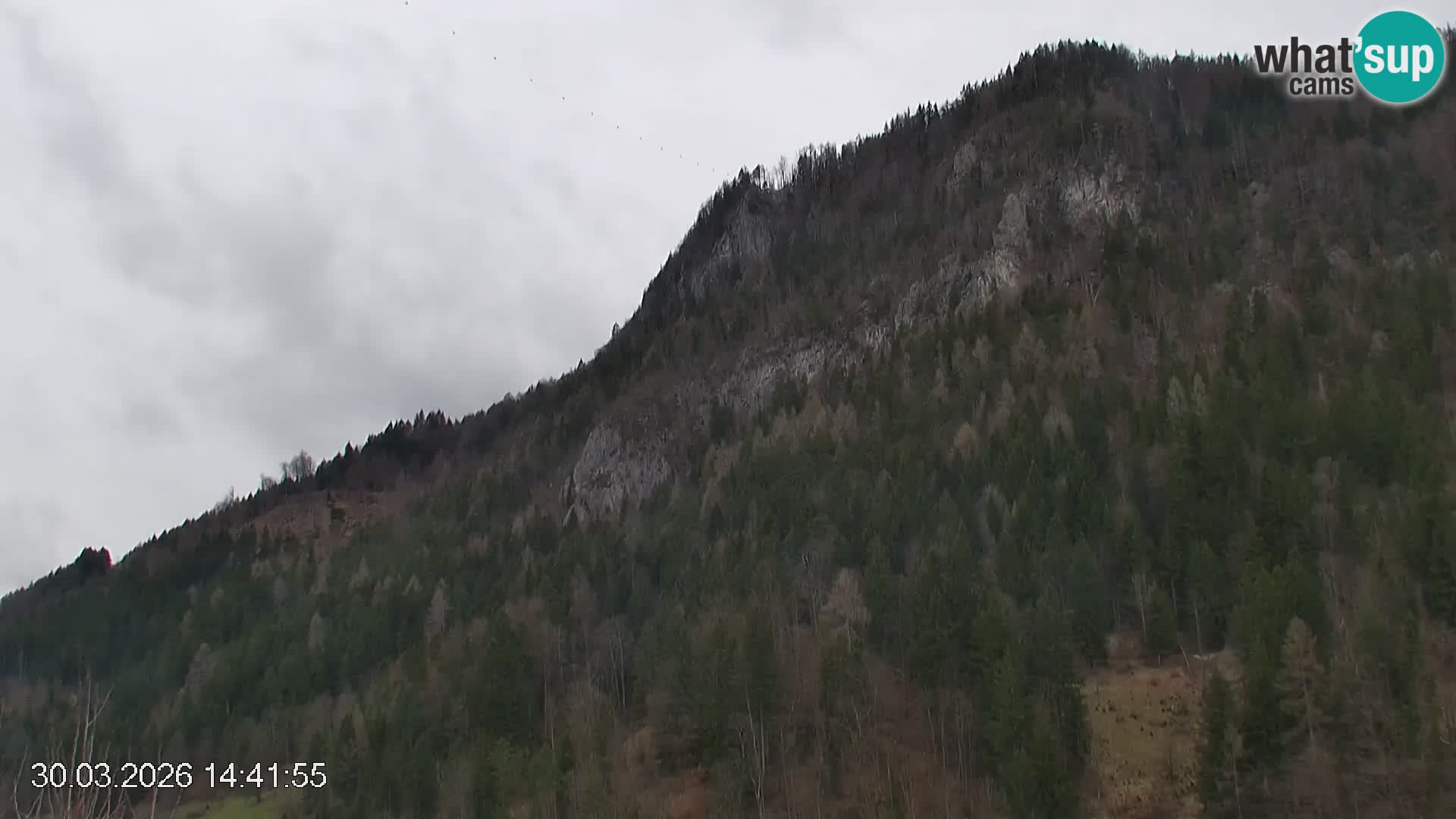 Smučišče Črna na Koroškem | Koroška | Slovenija