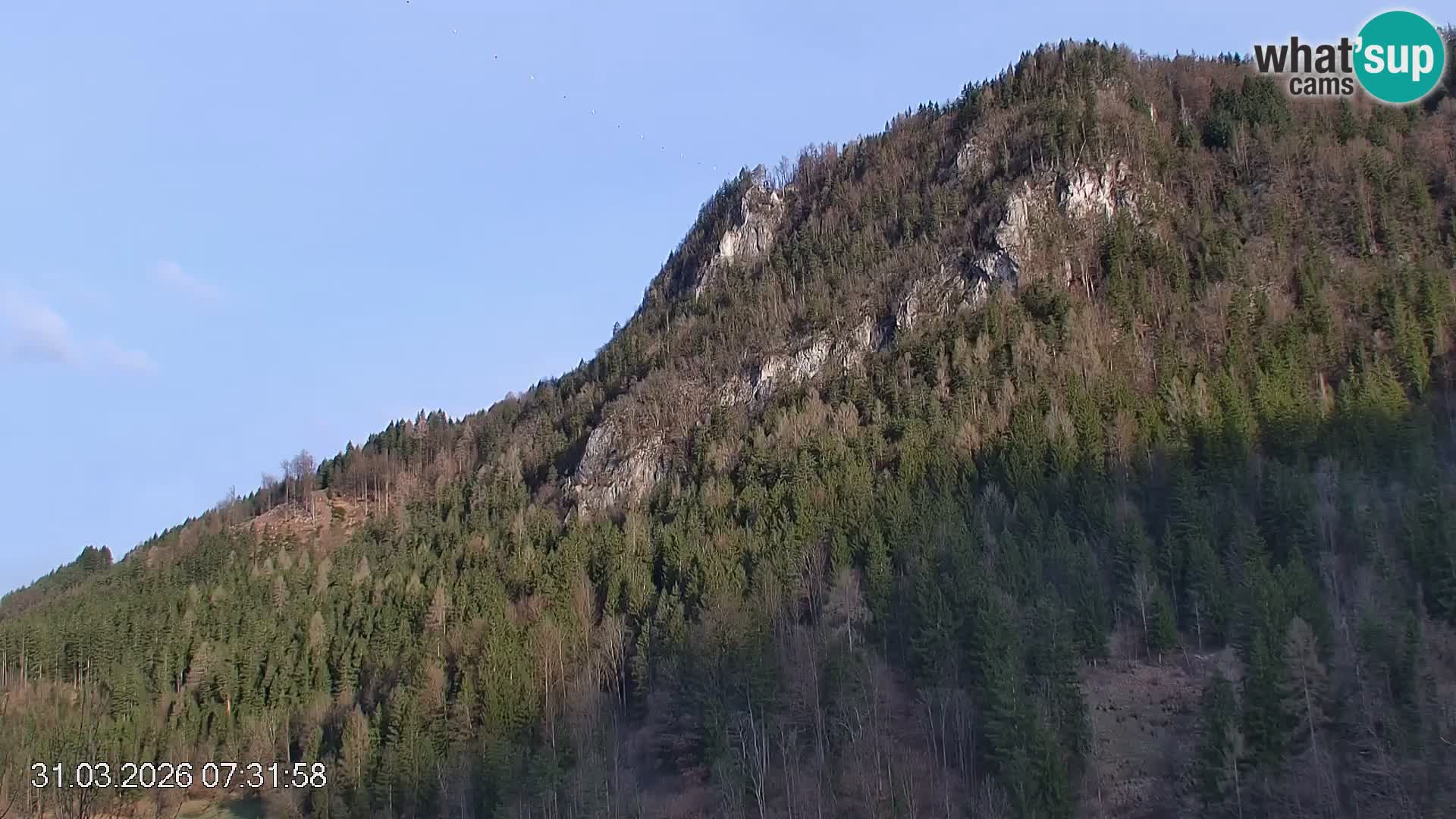Črna na Koroškem ski slope | Koroška | Slovenia