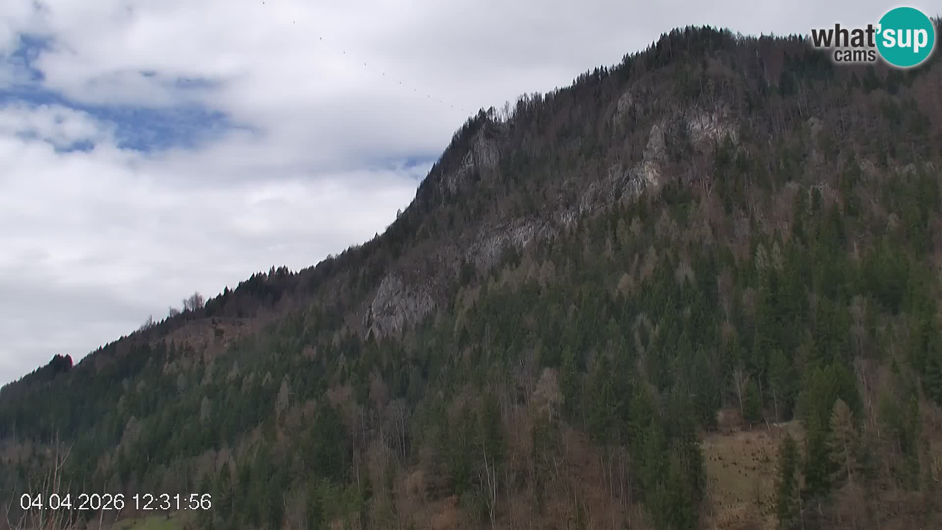 Črna na Koroškem ski slope | Koroška | Slovenia