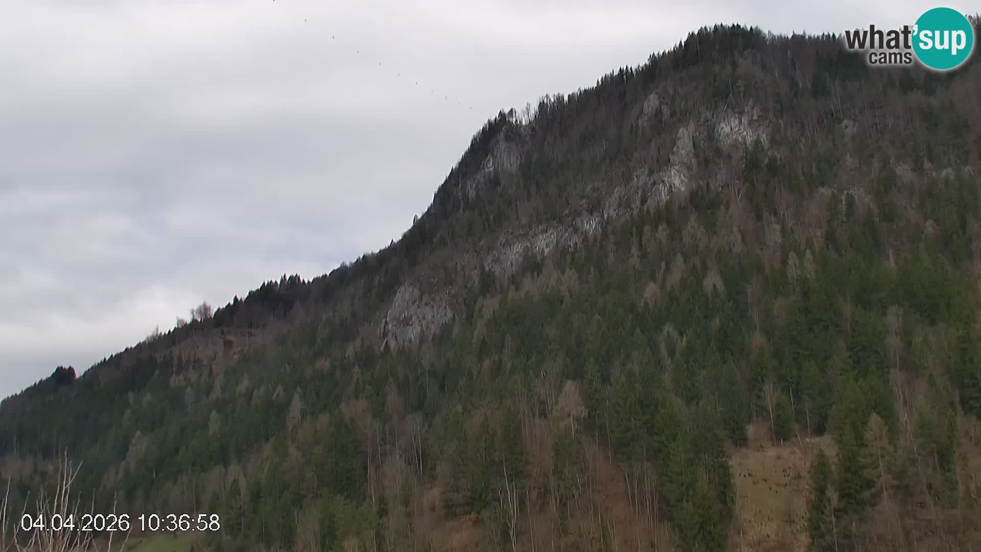 Smučišče Črna na Koroškem | Koroška | Slovenija