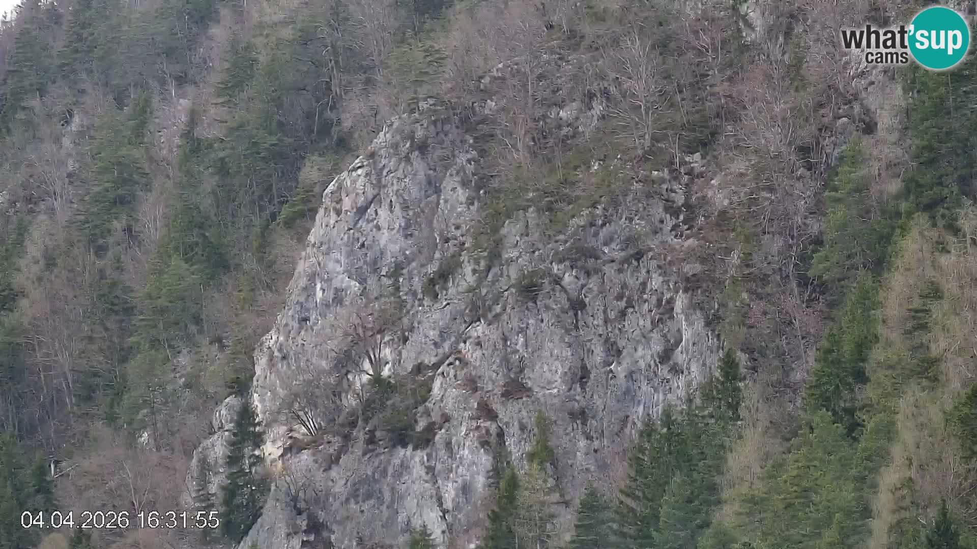 Smučišče Črna na Koroškem | Koroška | Slovenija