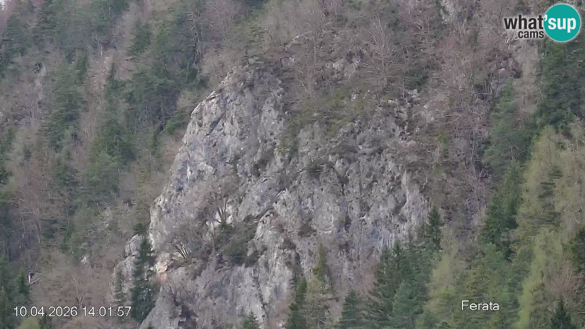 Črna na Koroškem ski slope | Koroška | Slovenia