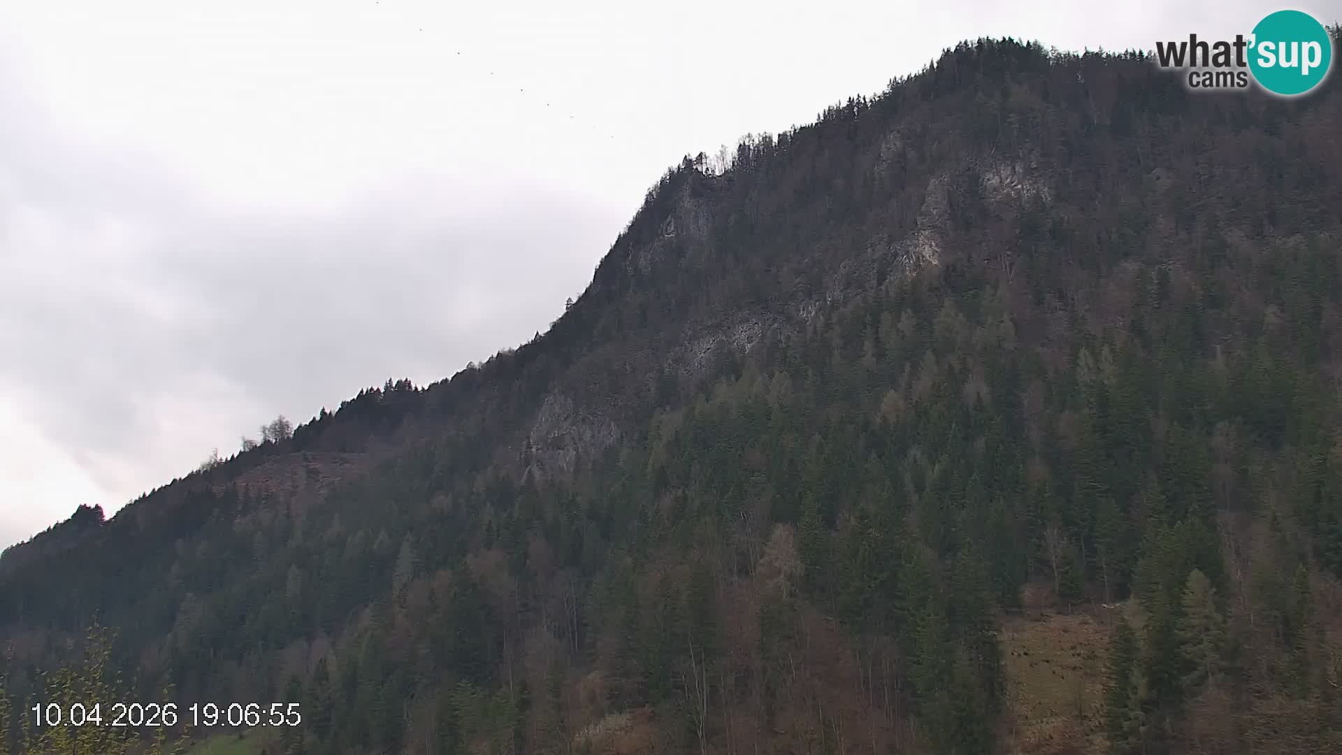 Črna na Koroškem ski slope | Koroška | Slovenia