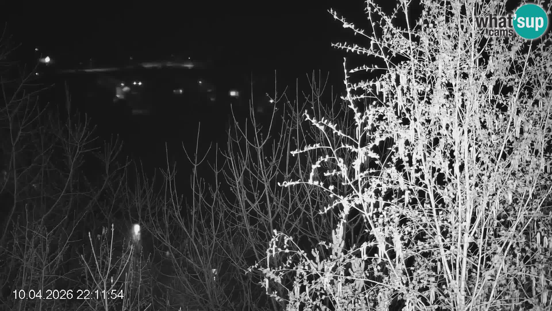 Stazione sciistica Črna na Koroškem | Carinzia | Slovenia