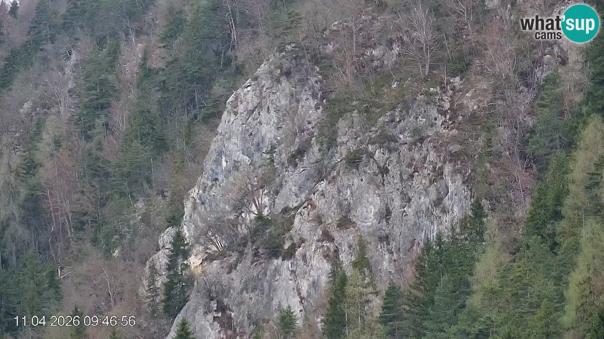 Pista de esquí de Črna na Koroška | Carintia | Eslovenia