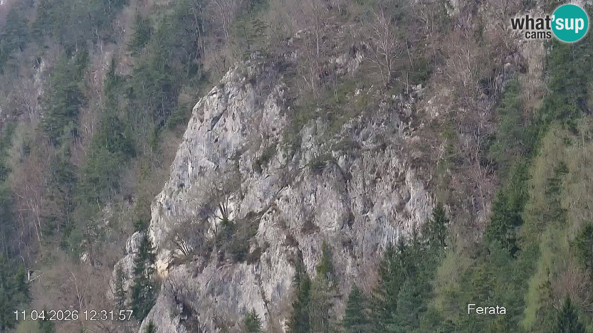 Skipiste Črna na Koroška | Kärnten | Slowenien
