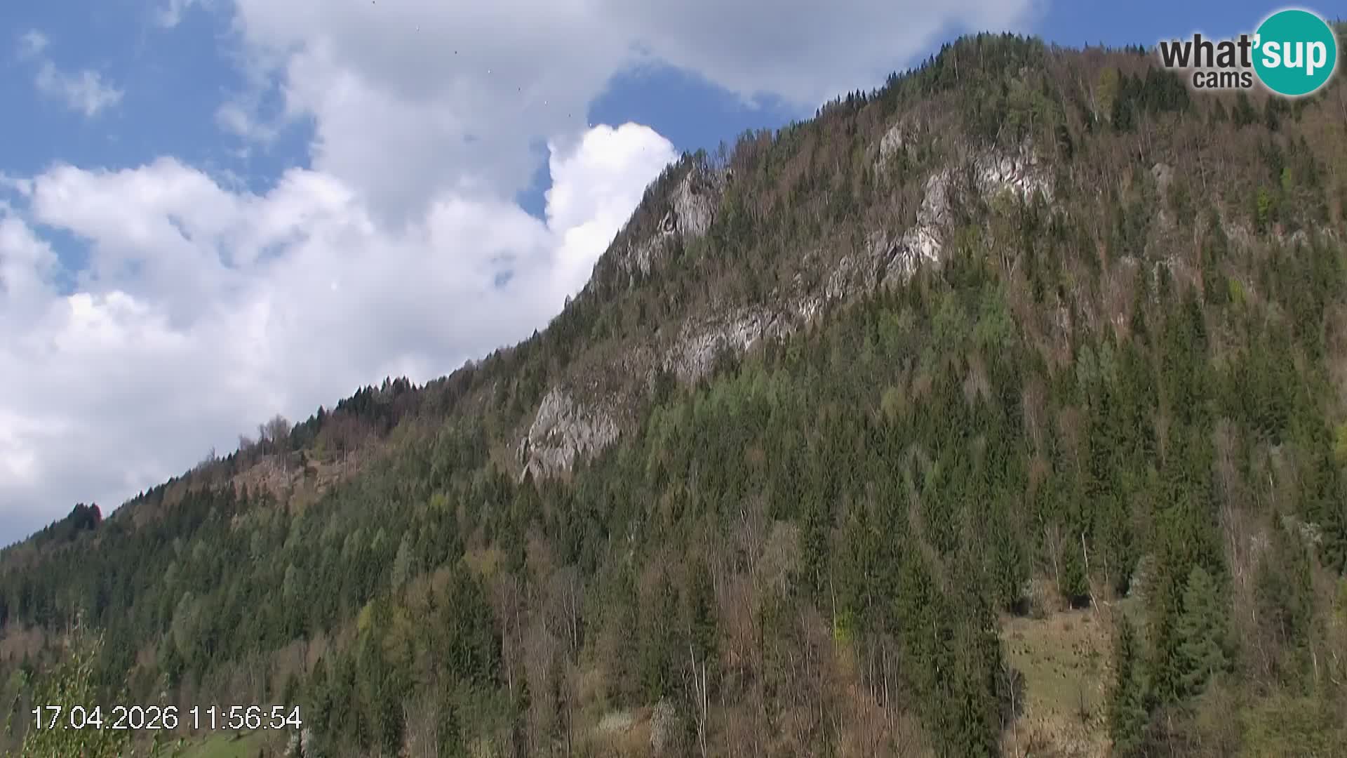 Piste de ski Črna na Koroška | Carinthie | Slovénie