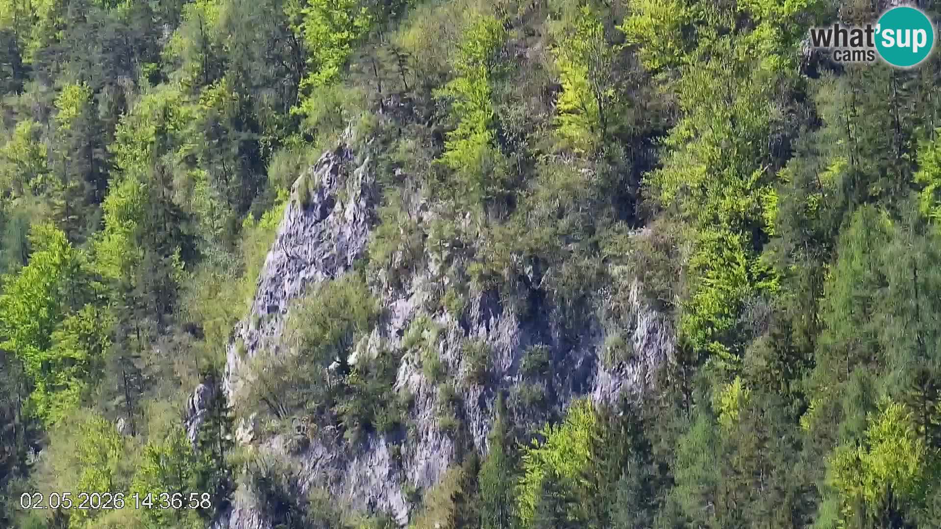 Pista de esquí de Črna na Koroška | Carintia | Eslovenia