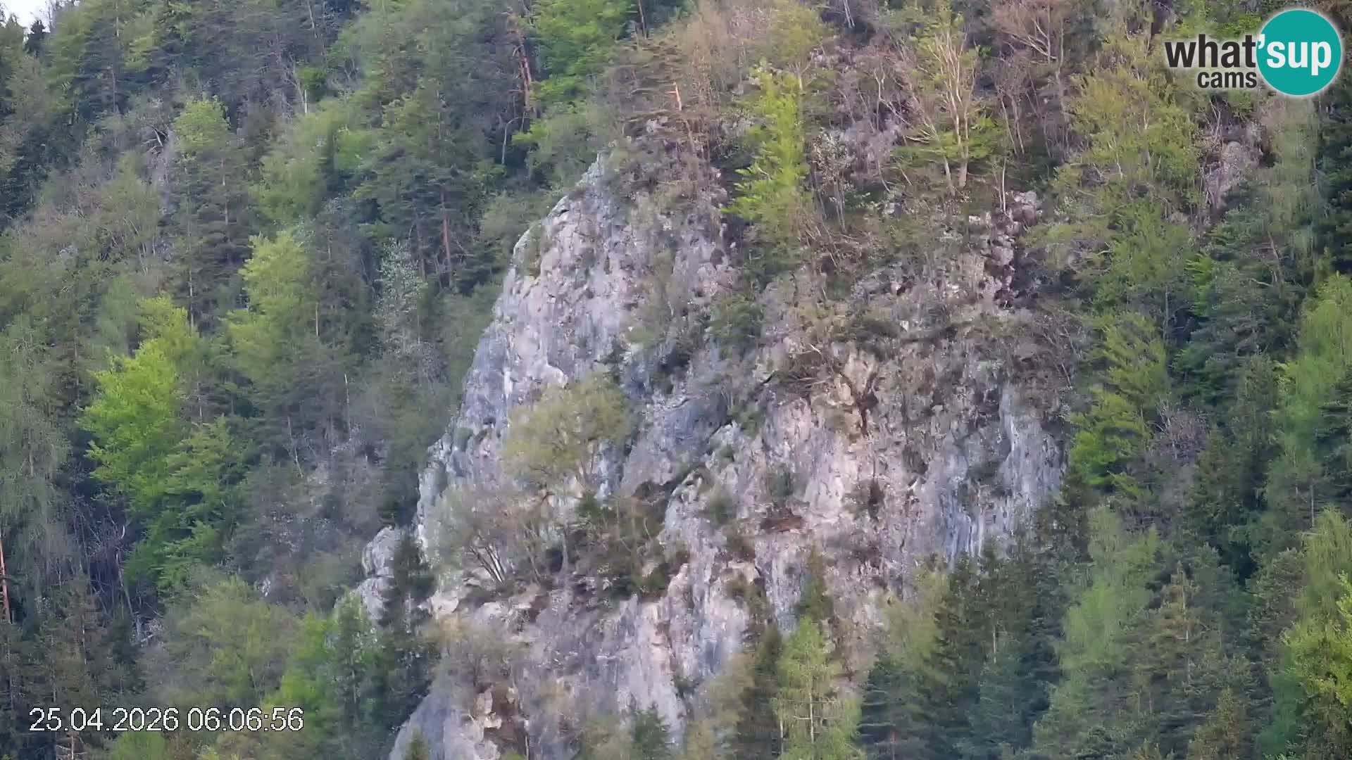 Skipiste Črna na Koroška | Kärnten | Slowenien