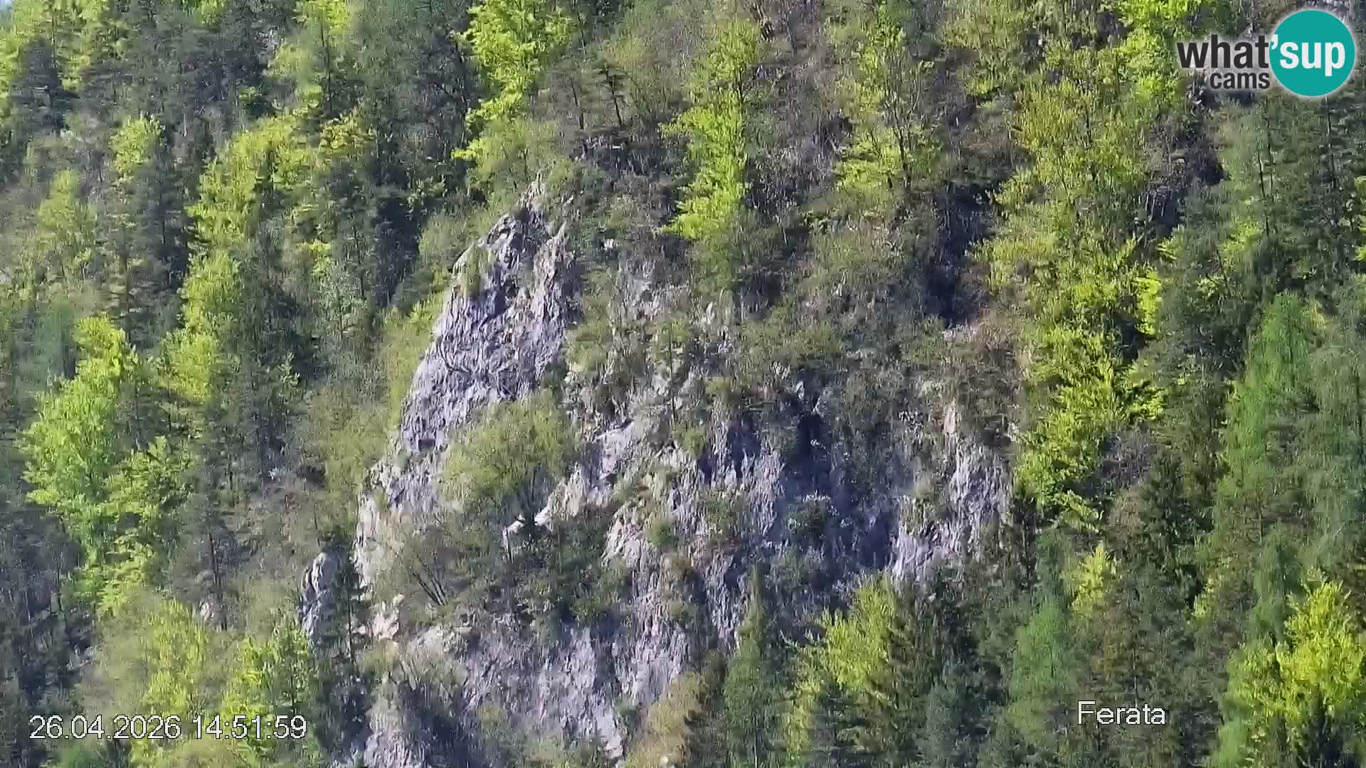 Piste de ski Črna na Koroška | Carinthie | Slovénie