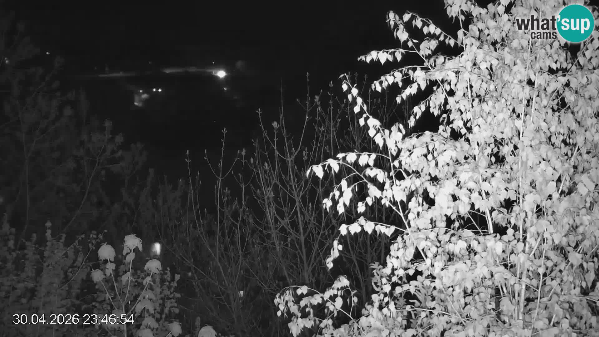 Črna na Koroškem ski slope | Koroška | Slovenia