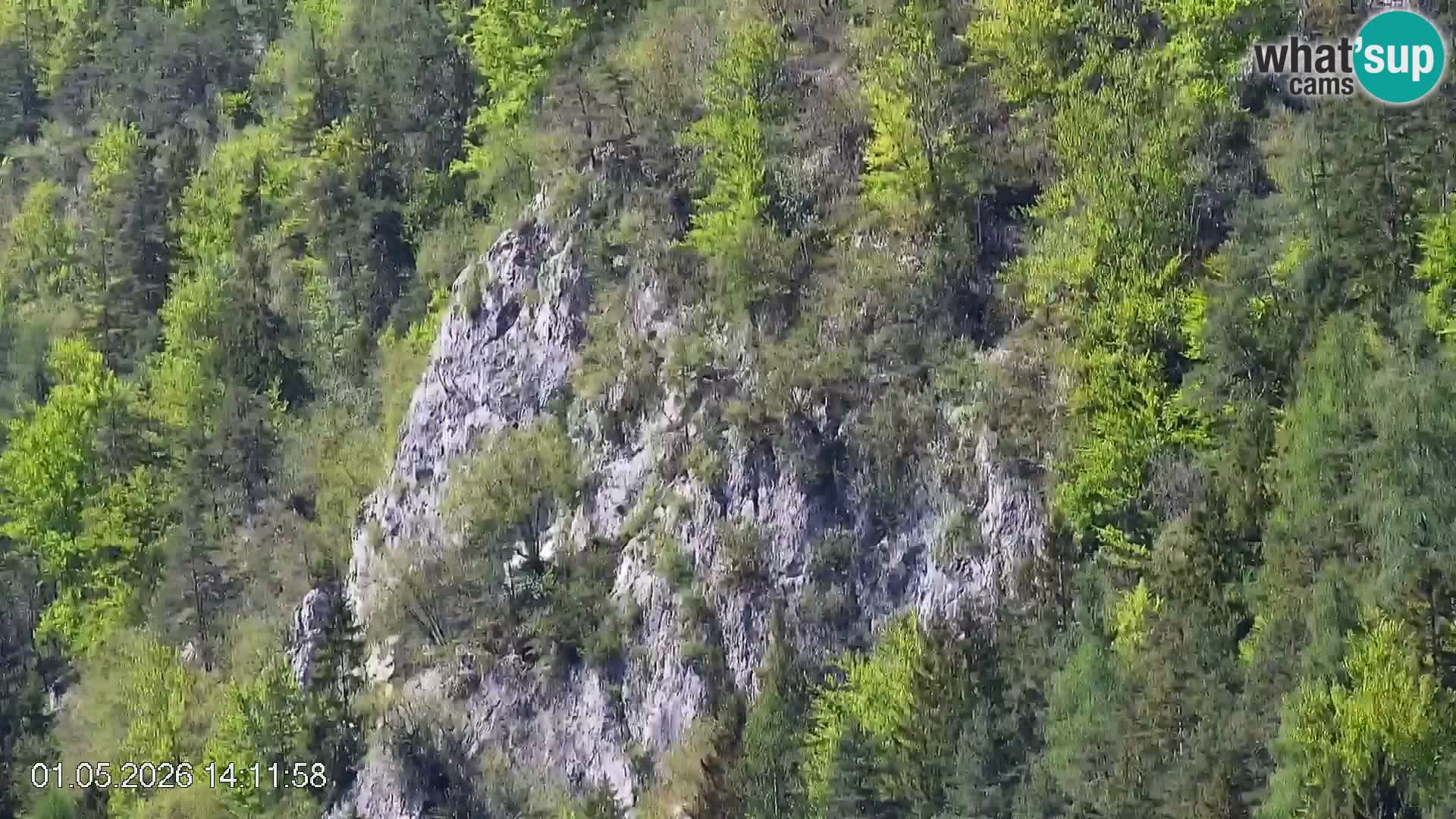 Pista de esquí de Črna na Koroška | Carintia | Eslovenia