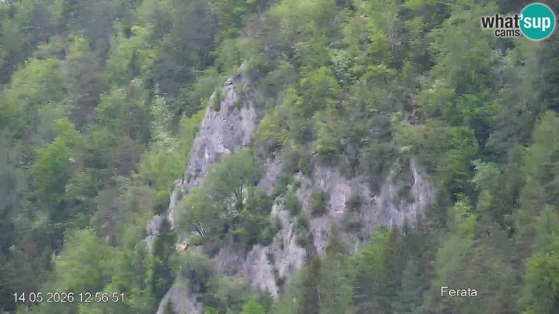 Pista de esquí de Črna na Koroška | Carintia | Eslovenia