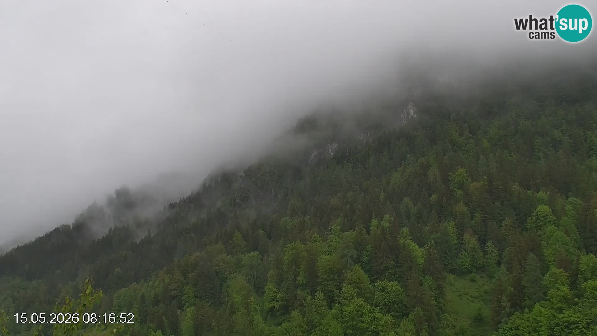 Črna na Koroškem ski slope | Koroška | Slovenia