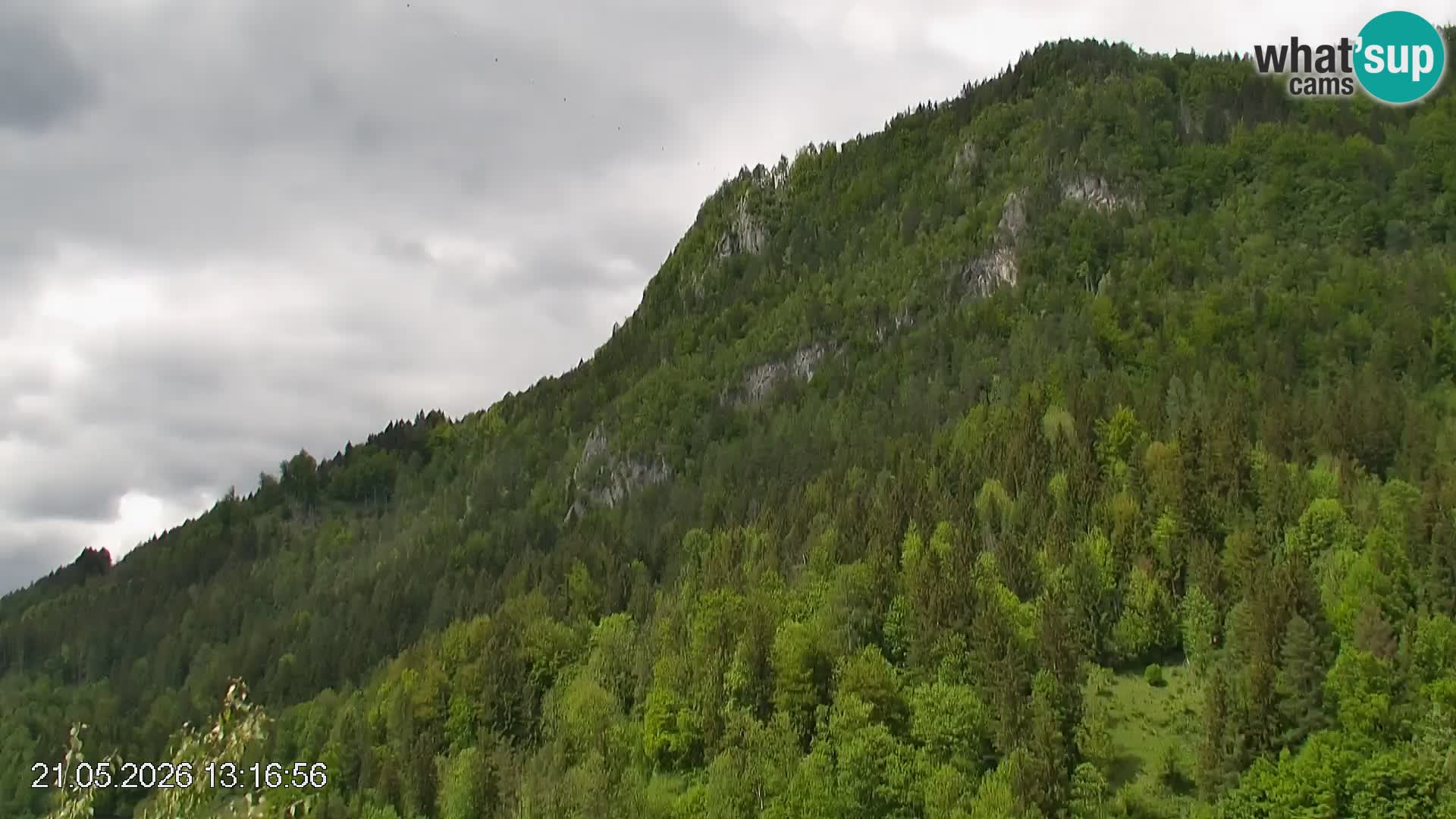 Stazione sciistica Črna na Koroškem | Carinzia | Slovenia