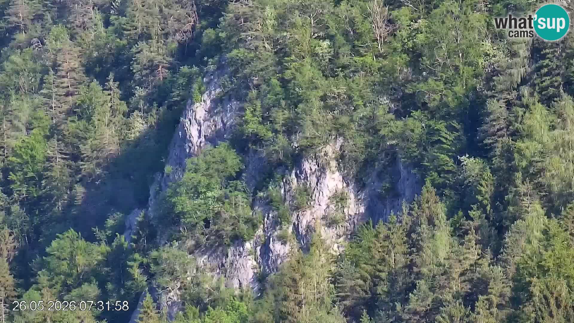 Stazione sciistica Črna na Koroškem | Carinzia | Slovenia
