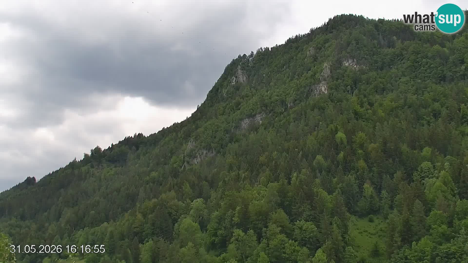 Smučišče Črna na Koroškem | Koroška | Slovenija