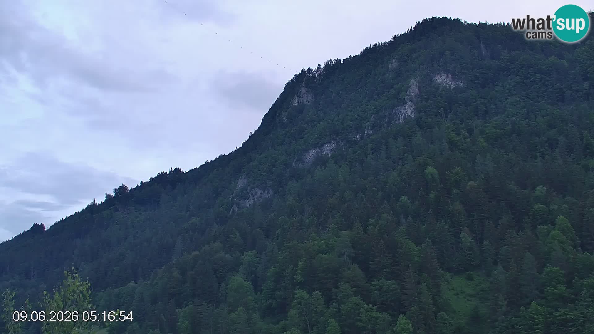 Piste de ski Črna na Koroška | Carinthie | Slovénie