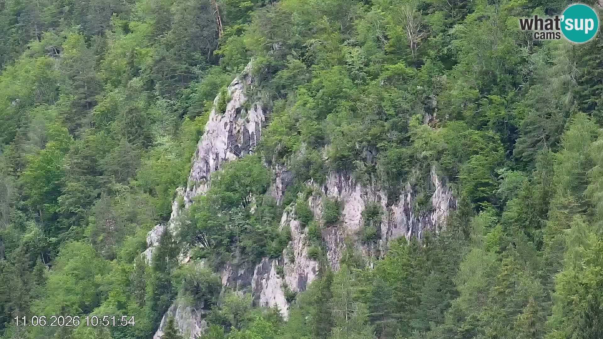 Piste de ski Črna na Koroška | Carinthie | Slovénie