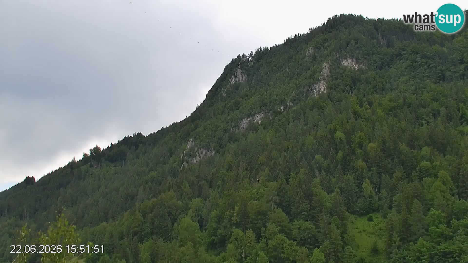 Pista de esquí de Črna na Koroška | Carintia | Eslovenia