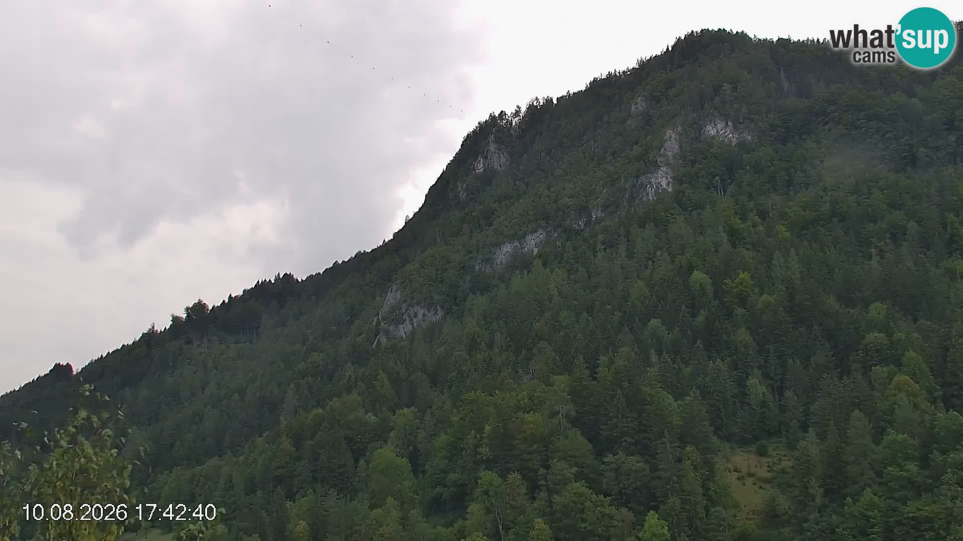 Stazione sciistica Črna na Koroškem | Carinzia | Slovenia