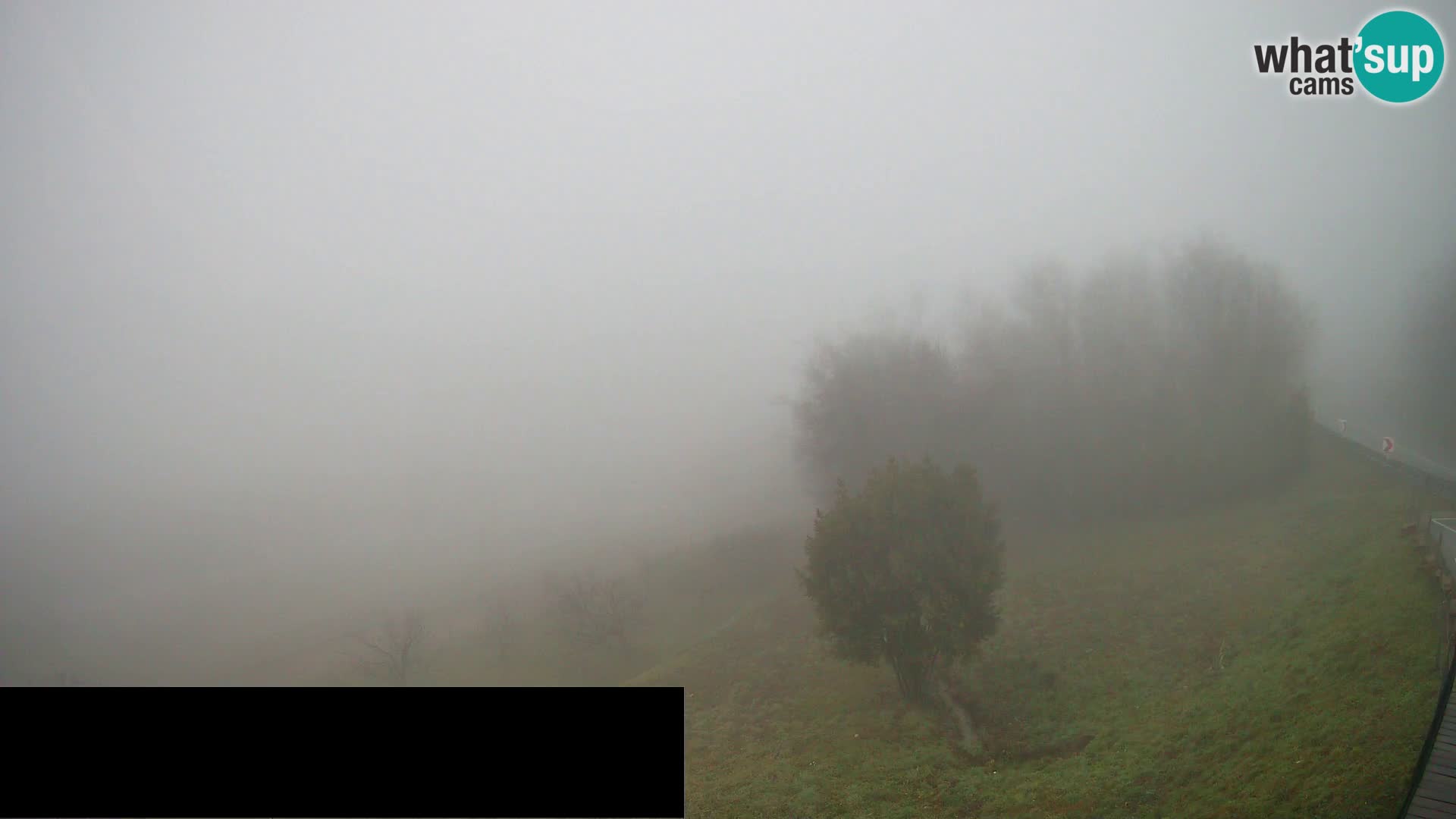 Webcam Črni Kal Viaduct – view from Viki Burger