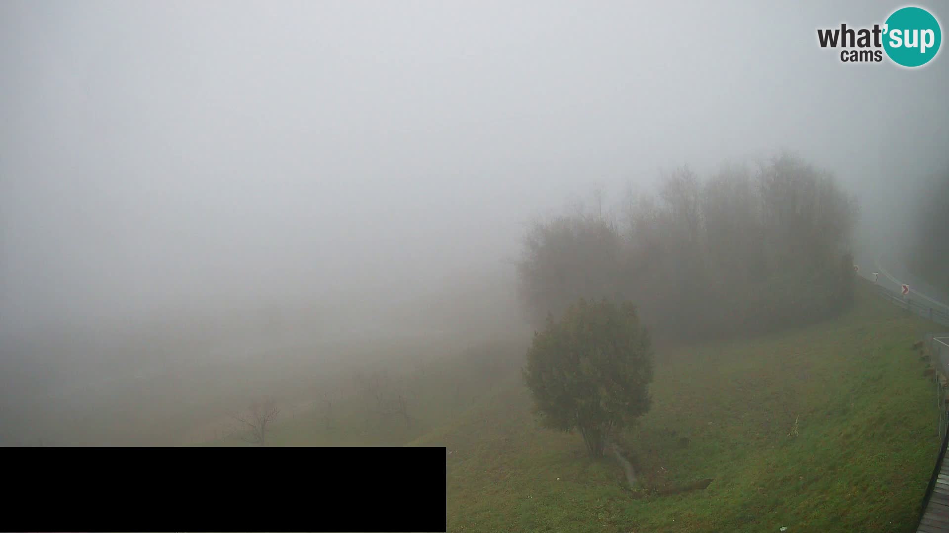 Live cam Črni Kal Viaduc – Viki Burger