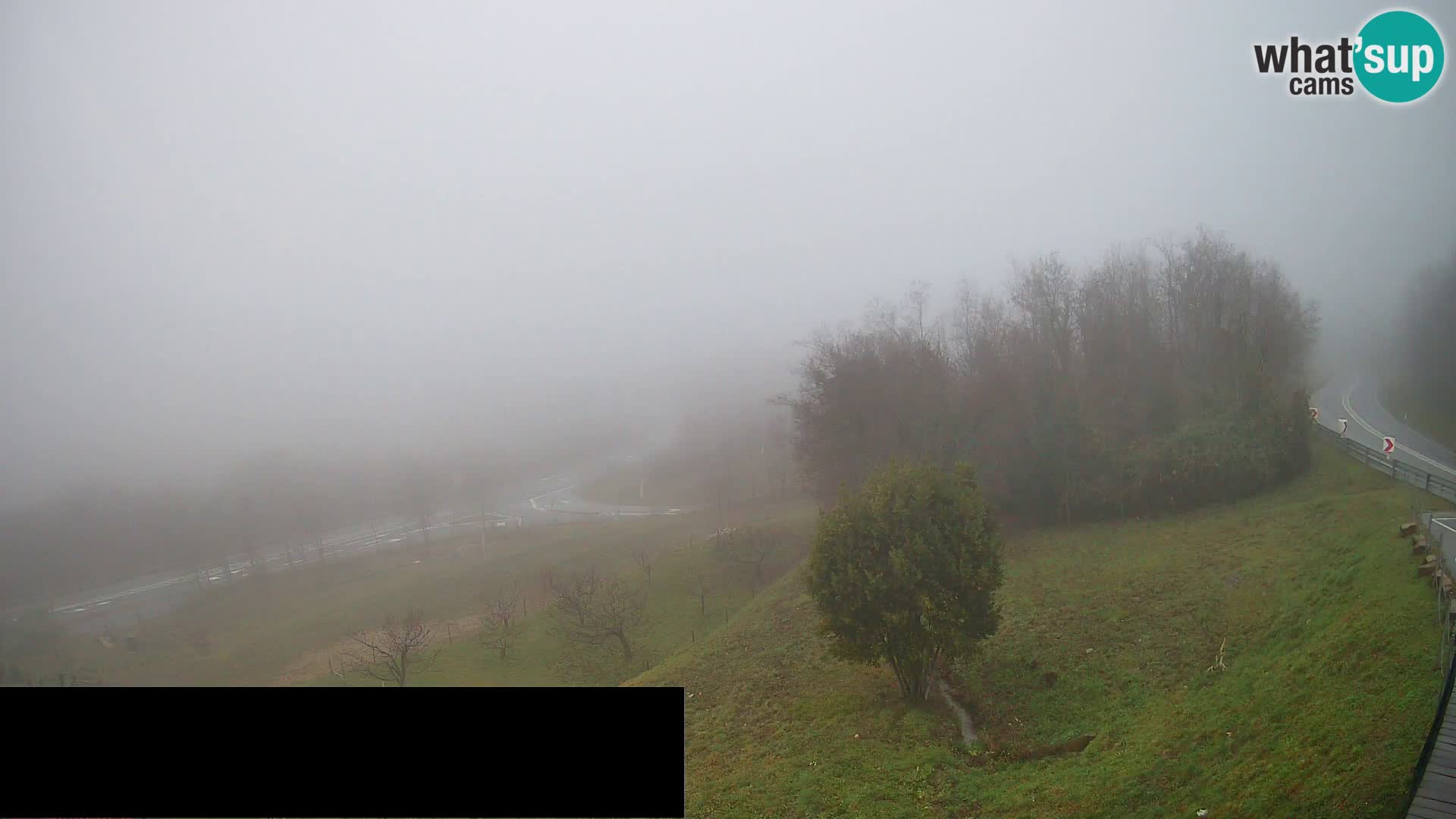 Live cam Črni Kal Viaduc – Viki Burger