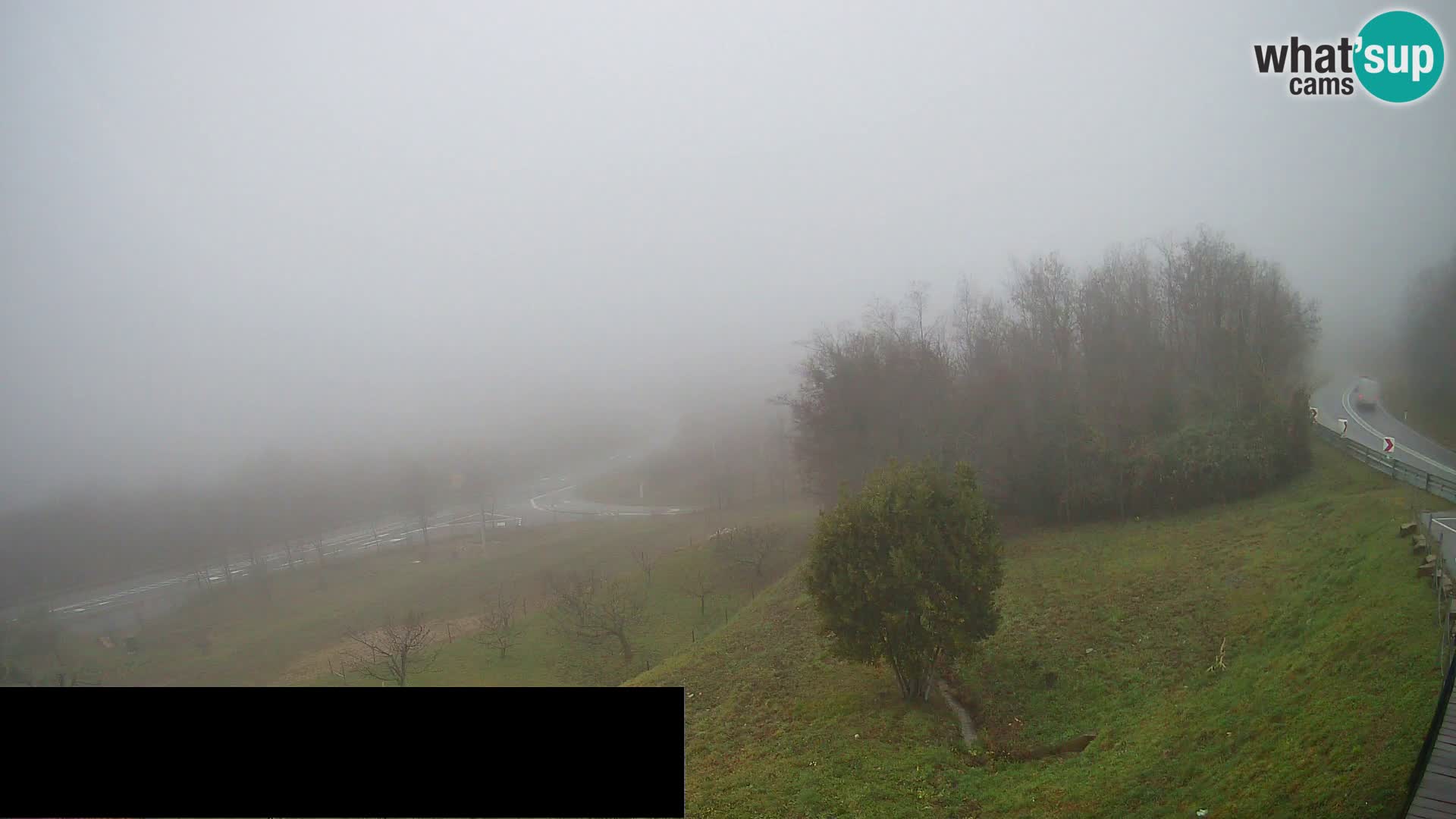 Livecam  Črni Kal Viadotto – panorama dal Viki Burger