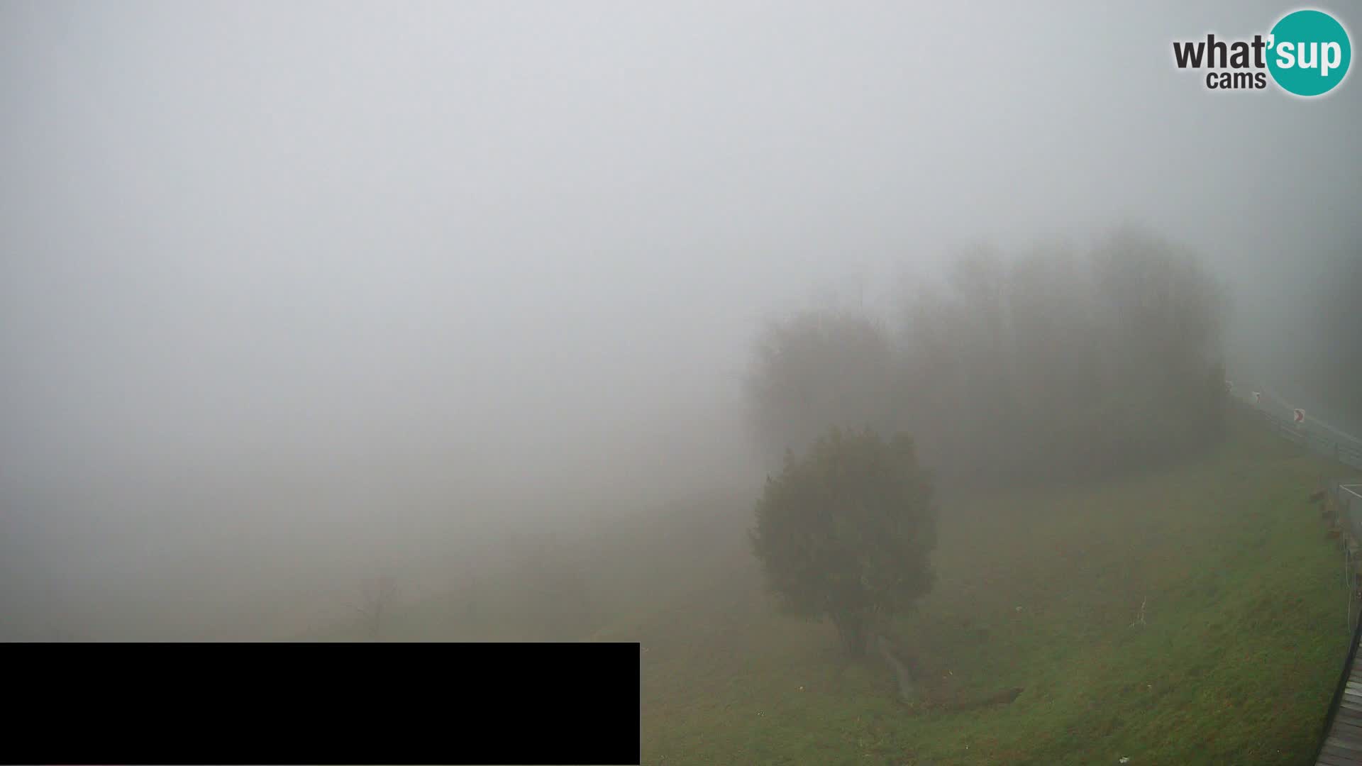 Kamera v živo Črni Kal Viadukt – pogled z Viki Burgerja