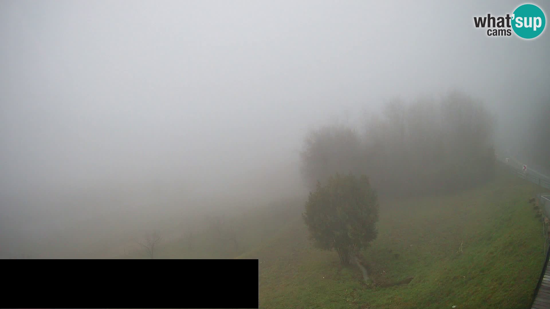 Kamera v živo Črni Kal Viadukt – pogled z Viki Burgerja