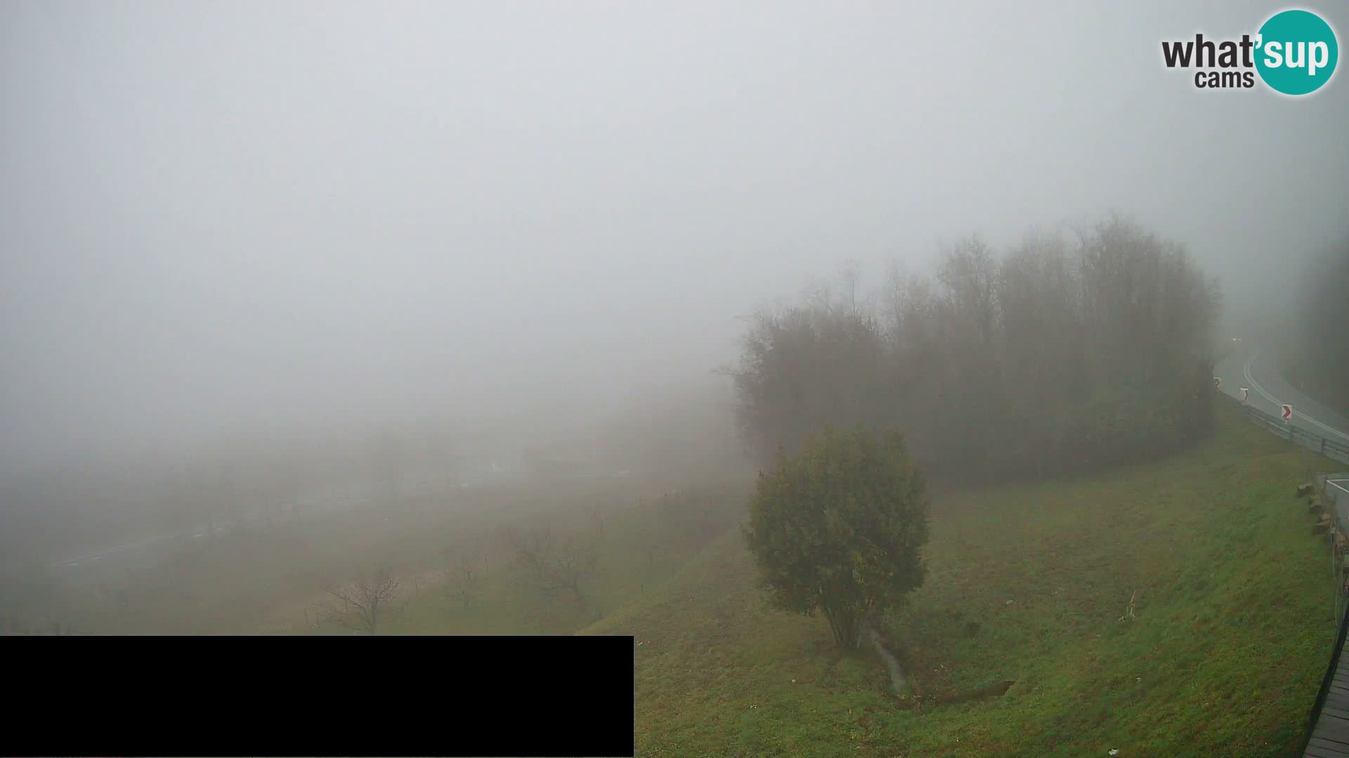 Live cam Črni Kal Viaduc – Viki Burger