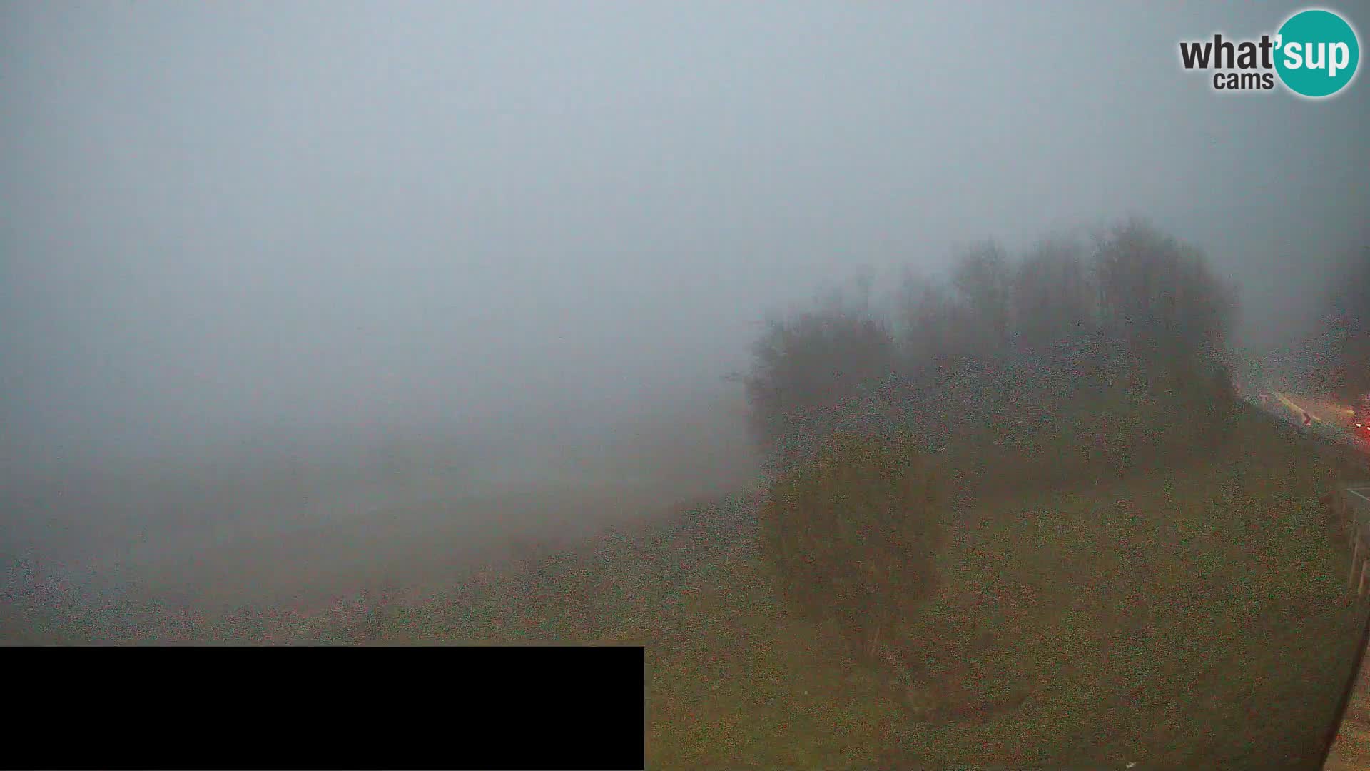 Live cam Črni Kal Viaduc – Viki Burger