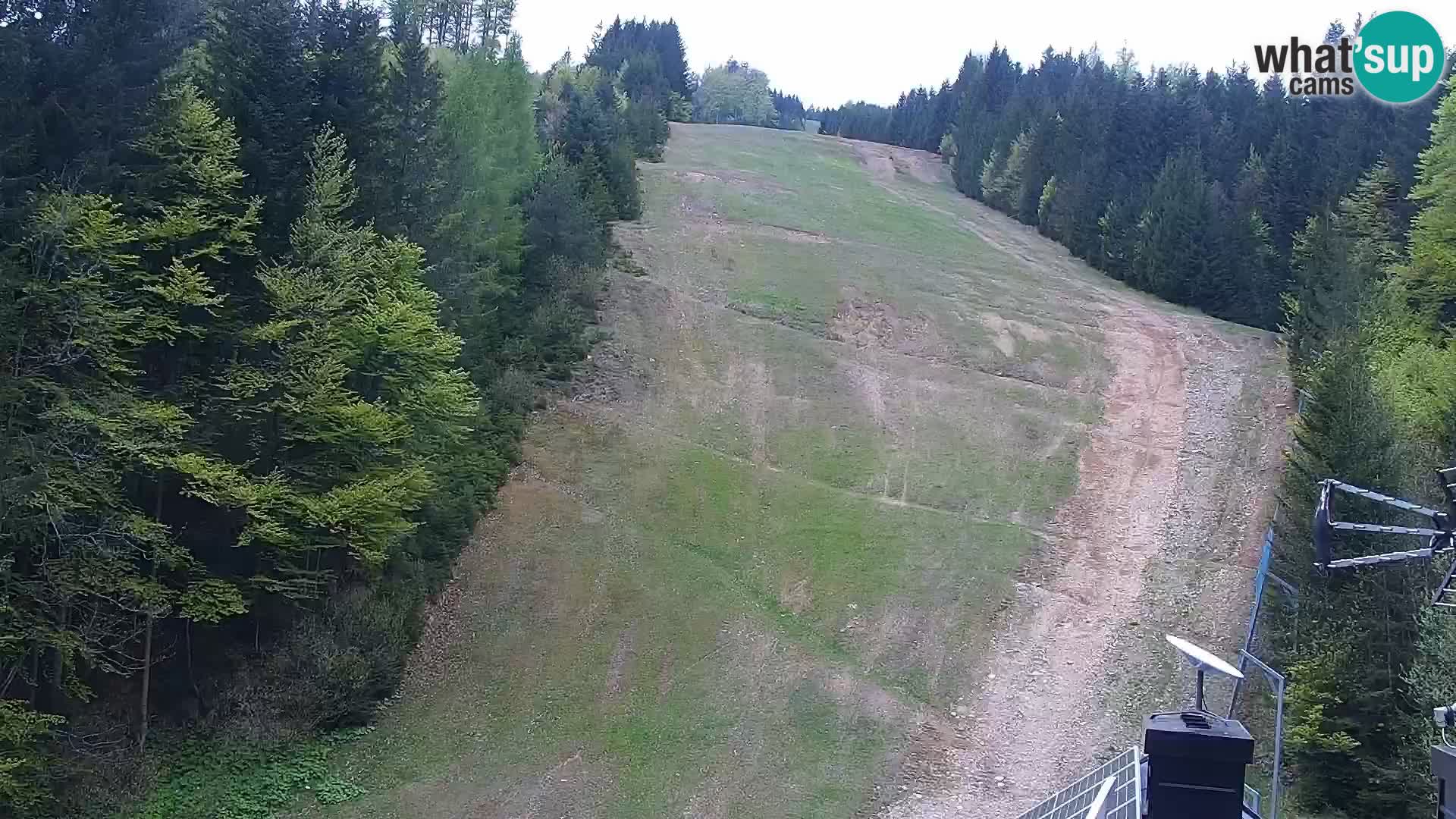 Spletna kamera Rogla apartmaji Dandi – Jurgovo