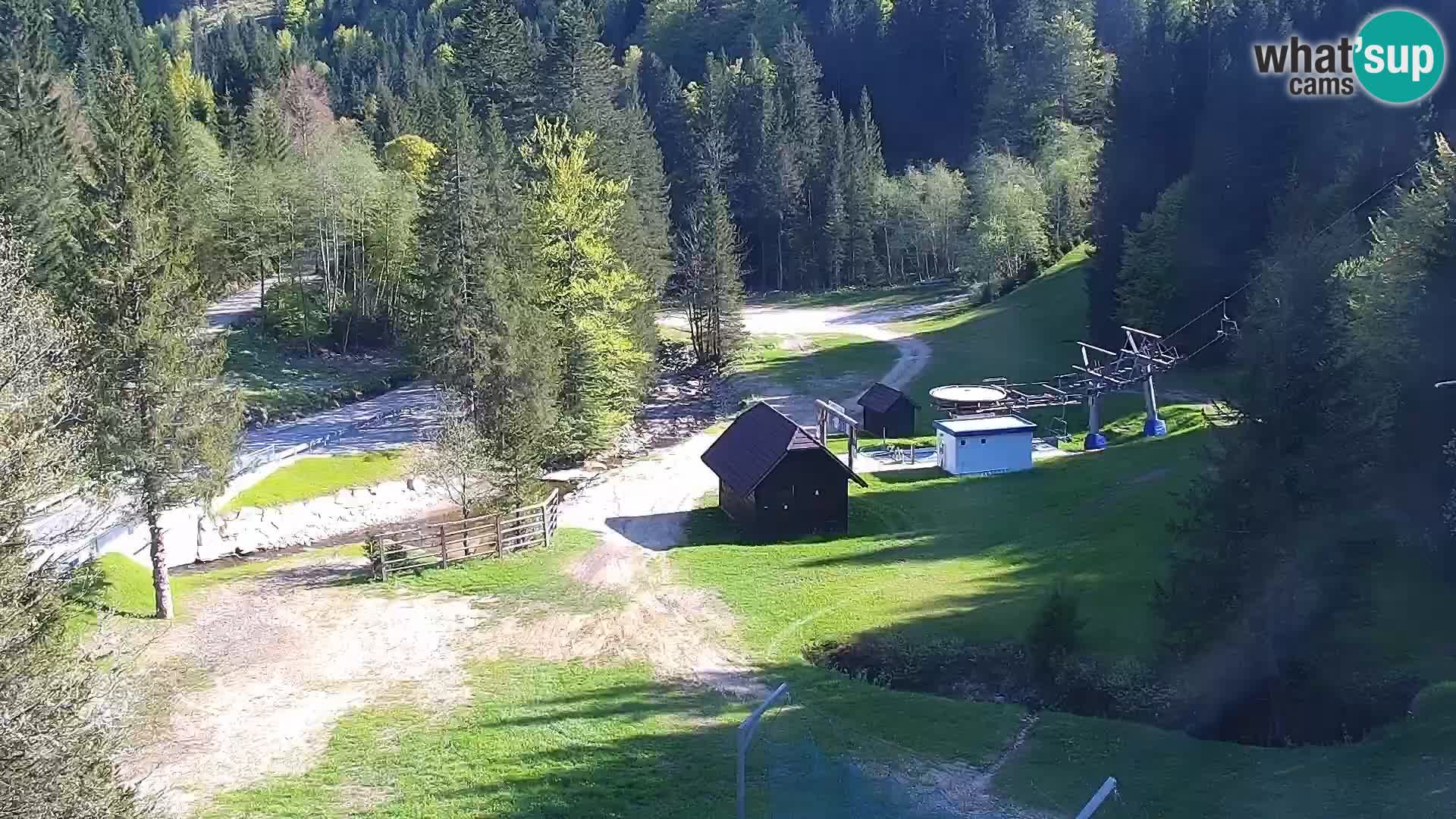 Spletna kamera Rogla apartmaji Dandi – Jurgovo