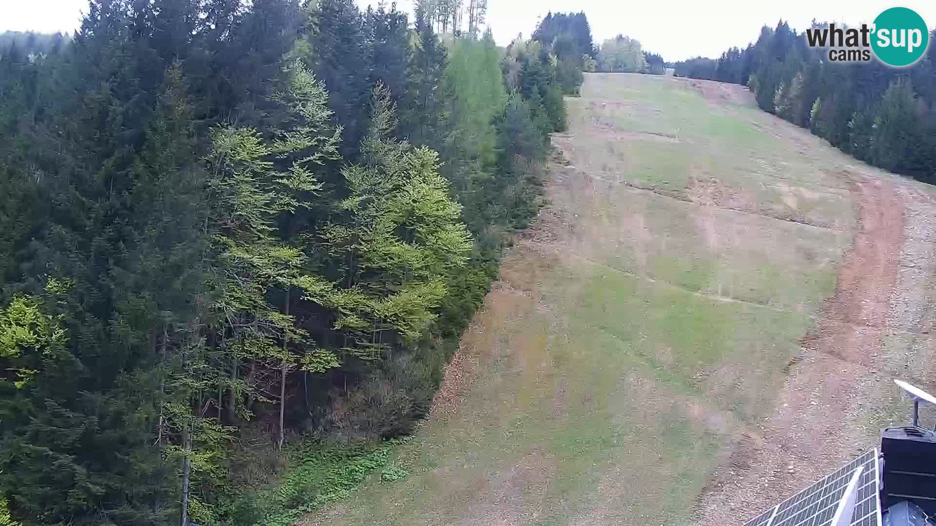 Livecam Rogla apartments Dandi – Jurgovo